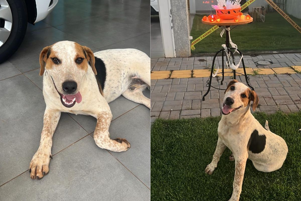 foto Not&iacute;cia Londrina